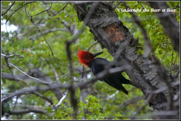 Camino a Laguna Escondida