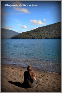 Flor en las arenas negras por la ceniza volcánica