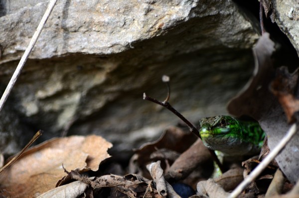 Hicimos una amiga :P