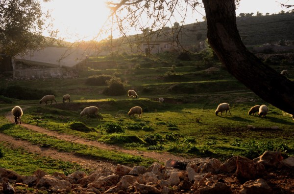 Un paisaje típico de Ksamil