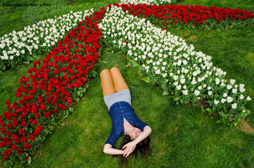 Descansando entre las flores de los jardines de Sultanahmet