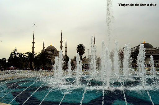 Entrada a la Mezquita Azul, albatros volando y las aguas danzantes