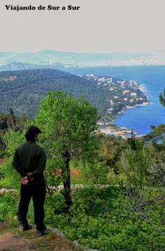 La sección preferida de Seba – Contemplando Esta es la última foto de la querida y desaparecida boina