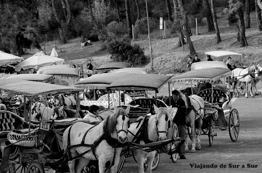 Disculpe las molestias, caballos trabajando :(