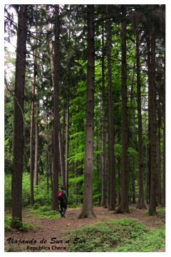 Mezclandonos en la naturaleza Seba sigue buscando la liebre saltarina