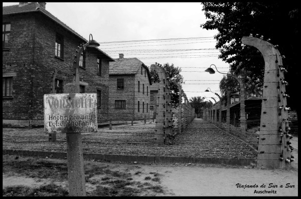 Dentro del alambrado los bloques. Fuera, los árboles. Es fácil trasladarse a la época con las imagenes