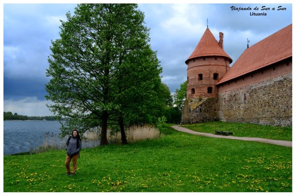 Flor en el Castillo de Trakai