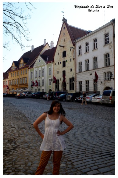 Flor en las calles de Tallin