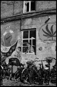 La ciudad libre esta llena de antiguos grafitis que señalan los ideales y posturas