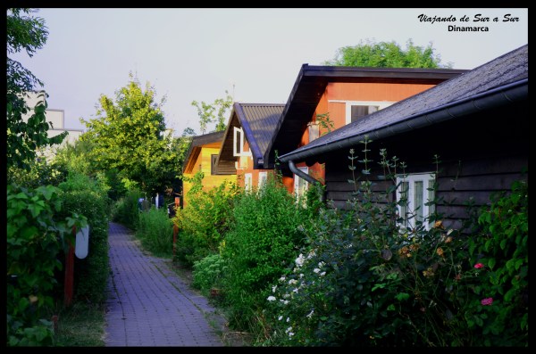 Así son los barrios construidos en tierras tomadas